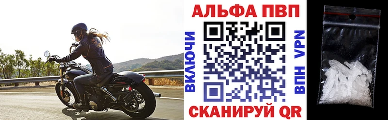A PVP СК  Буй 
